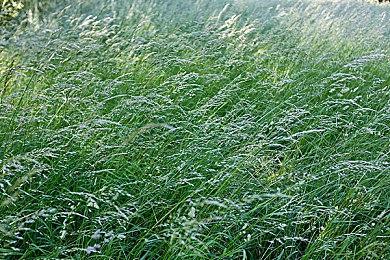 国产怀旧游戏《世上英雄》Steam特别好评 特惠26.1元